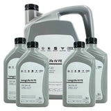 Original VW Audi Seat Skoda LongLife IV FE SAE 0W-20 508.00 / 509.00 5 Liter